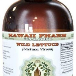 Wild Lettuce (Lactuca Virosa) Alcohol-Free Liquid Extract, Organic Wild Lettuce Dried Herb Glycerite, Wild Lettuce Herbal Supplement, Made in USA by Hawaii Pharm, 15x4 fl. oz