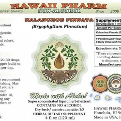 Kalanchoe Pinnata (Bryophyllum Pinnatum) Tincture, Dried Leaf and Stem Liquid Extract, Kalanchoe Pinnata, Glycerite Herbal Supplement 30x2 oz