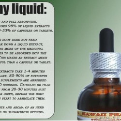 Acerola Liquid Extract, Organic Acerola (Malpighia Glabra) Dried Berry Powder Tincture Supplement 15x4 oz