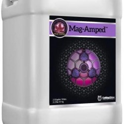 Cutting Edge Mag-Amped 2.5 Gallon