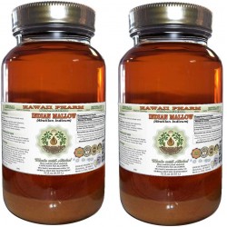 Indian Mallow, Dong Kui Zi (Abutilon Indicum) Tincture, Dried Seed Liquid Extract, Indian Mallow, Glycerite Herbal Supplement 2x32 oz