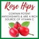 Chew C Berry (12 Pack) Chewable Vitamin C (Ascorbic Acid) | Antioxidant Flavonoids Supplement with Rose Hips (Rosa Canina) & Rutin (Sophora Japonica) | Morter HealthSystem B.E.S.T. Process Alkaline