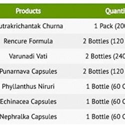 Revive Kidneys Pack for Advanced Stage - Ayurvedic Remedy by Planet Ayurveda