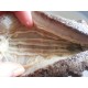 ERLIN (4lb) 100% Sun Dried Sea Cucumber Badionotus (mix size)