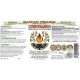 Cundurango (Marsdenia Cundurango) Tincture Dried Herb Alcohol-Free Liquid Extract, Cundurango, Glycerite Herbal Supplement 20x4 oz