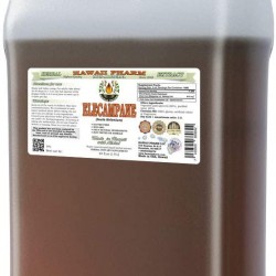 Elecampane Alcohol-Free Liquid Extract, Organic Elecampane (Inula Helenium) Dried Root Glycerite Hawaii Pharm Natural Herbal Supplement 64 oz