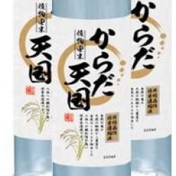 Karada Tengoku | The World’s First! Vegetable-derived Water-Soluble Silica Supplement (500ml) for Diabetes [Japan Import]