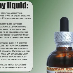 Coptis Alcohol-Free Liquid Extract, Coptis (Rhizoma Coptidis) Dried Root Glycerite Hawaii Pharm Natural Herbal Supplement 64 oz