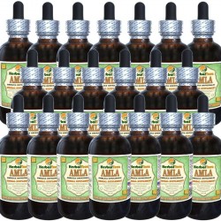 Amla (Phyllanthus Emblica) Glycerite, Organic Alcohol-Free Liquid Extract (Brand Name: HerbalTerra, Proudly Made in USA) 20x4 fl.oz (20x120 ml)
