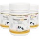 Hi Well Premium New Zealand Bovine Colostrum Gold Milk 200 Chewables Tablets Immunoglobulin G (Igg) 20~25% (Pack of 3)