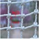 Outdoor Garden Protection Net Children Indoor and Outdoor Climbing Net Adult Sports Training Rope Net High Altitude Anti-Fall Net Truck Trailer Network - Rope Thick 14mm Mesh 12cm