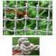 Child Climbing Net Entertainment Fitness Climbing Net Indoor and Outdoor Protection Net Ceiling Decoration Net Playground Fence Net Truck Trailer Network