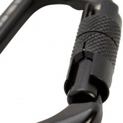 Fusion Climb Essence Aluminum Auto-Lock Modified D-Shape Carabiner 10-Pack