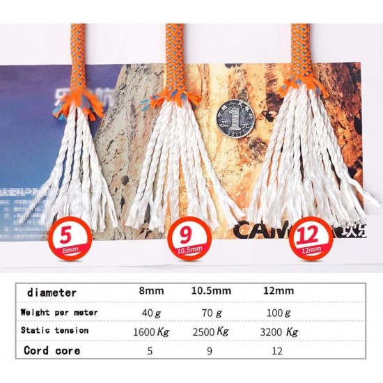 CHUNSHENN Climbing Rope Lifting Rope Camping/Climbing/Climbing/Road Leading/Diving Wear Resistant Color Size Optional Ropes (Color : D, Size : 12mm 100m) Outdoor Recreation