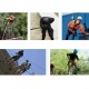 ZHWNGXO Outdoor Climbing Rope, Safety Rope 12mm Weatherproof Preservative Nylon Anti-Static (Size : 100m)