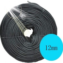 ZHWNGXO 12mm Utility Rope, Parachute Rope Sun Protection/Corrosion Resistance/Wear Resistance/Durable/Weatherproof 10m /50m/100m (Color : Black, Size : 100m)