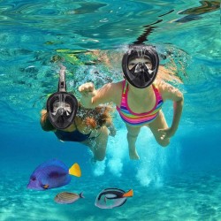 HRXS Snorkeling Suits, Goggles and Flippers Adult Snorkeling mask, All Dry Breathing Tube Diving Equipment Snorkeling Three-Piece