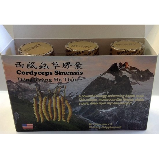 Tibet Cordyceps Sinensis