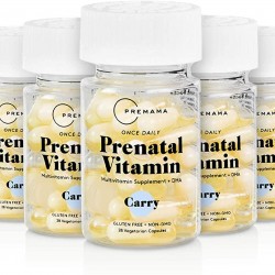 Premama Prenatal Vegan Vitamin Capsules DHA Iron Folate Fertility Support Vitamins Gluten Free Vegetarian Womens Daily Multivitamin Supplement Choline for Brain Development 28 Count(Pack of 9)