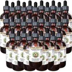 Kalanchoe Pinnata (Bryophyllum Pinnatum) Tincture, Dried Leaf and Stem Liquid Extract, Kalanchoe Pinnata, Glycerite Herbal Supplement 30x2 oz