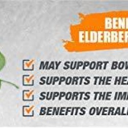 Bulksupplements Elderberry Extract Powder (5 kilograms)