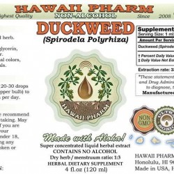 Duckweed, Duckmeat (Spirodela Polyrhiza) Tincture, Dried herb Liquid Extract, Duckweed, Glycerite Herbal Supplement 15x4 oz