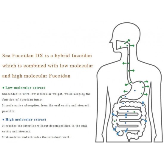 Sea Fucoidan DX 900 ml × 2 Bottles with Measuring Cup Sweetened Type