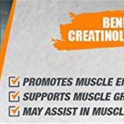 Bulksupplements Creatinol-O-Phosphate Powder (5 Kilograms)