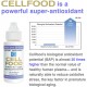 Cellfood Liquid Concentrate, 1 oz. (10 Pack) - Original Oxygenating Immune Support Formula - Seaweed Sourced Minerals, Enzymes, Amino Acids, Electrolytes - Gluten Free, Non-GMO, Certified Kosher