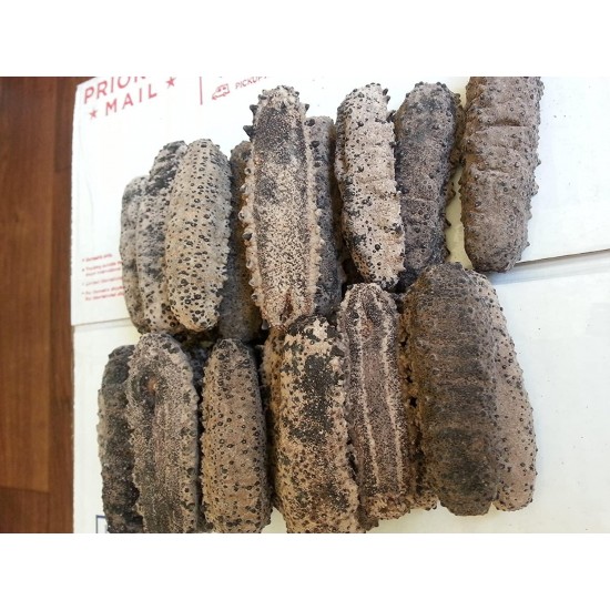 ERLIN (4lb) 100% Sun Dried Sea Cucumber Badionotus (mix size)