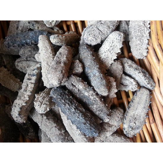 ERLIN (4lb) 100% Sun Dried Sea Cucumber Badionotus (mix size)