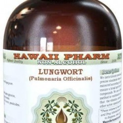 Lungwort Alcohol-Free Liquid Extract, Organic Lungwort (Pulmonaria officinalis) Dried Leaf Glycerite Hawaii Pharm Natural Herbal Supplement 15x4 oz