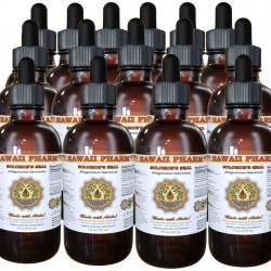 Solomon's Seal Liquid Extract, Solomon's Seal (Polygonatum odoratum) Tincture, Herbal Supplement, Hawaii Pharm, Made in USA, 15x4 fl.oz