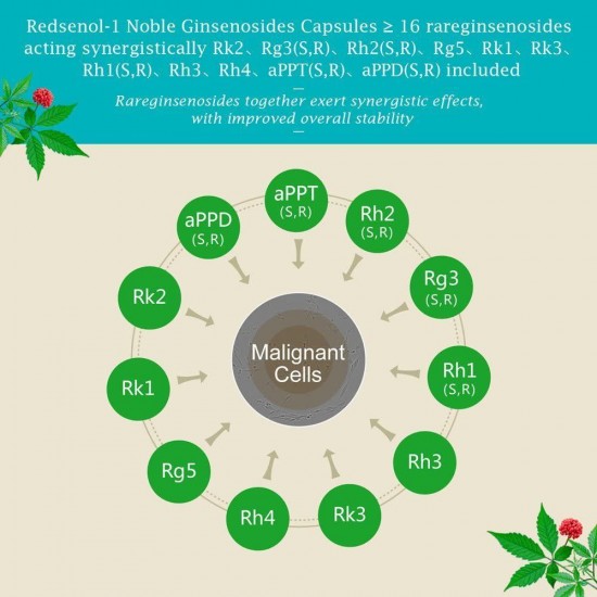 Redsenol – Contain 16 Rare Ginsenosides: Rk2 Rg5 Rh2 Rk1 Rk3 – Panax Ginseng Extract, 20% Rare Ginsenosides – 2 Boxes x 90 Capsules