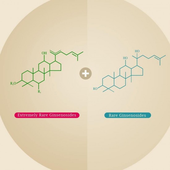Redsenol – Contain 16 Rare Ginsenosides: Rk2 Rg5 Rh2 Rk1 Rk3 – Panax Ginseng Extract, 20% Rare Ginsenosides – 2 Boxes x 90 Capsules
