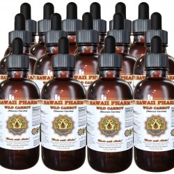 Wild Carrot Liquid Extract, Wild Carrot (Daucus Carota) Tops Tincture, Herbal Supplement, Hawaii Pharm, Made in USA, 15x4 fl.oz