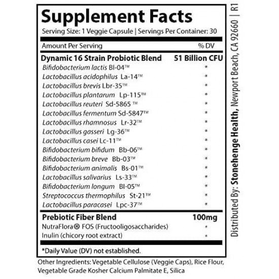 Probiotics 50 Billion CFU - 16 Strains, Prebiotic, Synbiotic - Stonehenge Health Dynamic Biotics - Lactobacillus Acidophilus, Delayed Release, Shelf Stable, Non-GMO Gluten Free Veggie Capsule (6 Pack)