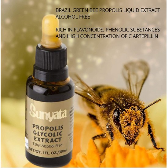 Bee Propolis - Glycolic - Green Brazilian Propolis by Sunyata (GOLD) - 12 X 30 ml