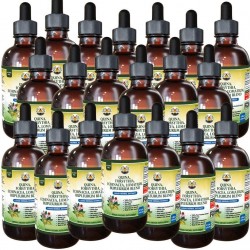 2020 Blend: Quina, Forsythia, Echinacea, Lomatium, Bupleurum Alcohol-Free Glycerite Herbal Supplement 20x4 oz