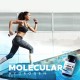 Quicksilver Scientific Active H Molecular Hydrogen Tablets 4 pack 240 Tablets