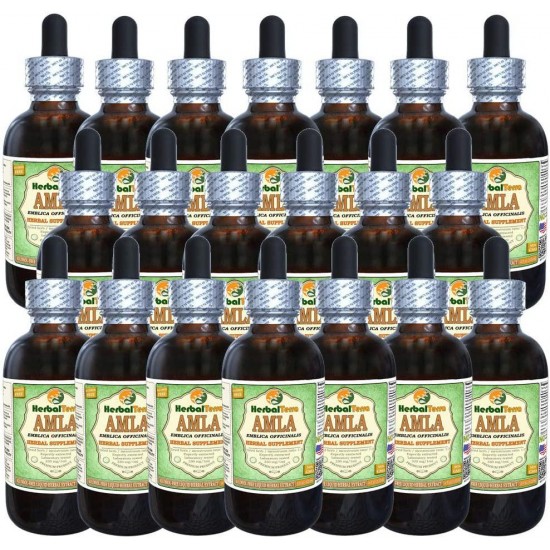 Amla (Phyllanthus Emblica) Glycerite, Organic Alcohol-Free Liquid Extract (Brand Name: HerbalTerra, Proudly Made in USA) 20x4 fl.oz (20x120 ml)