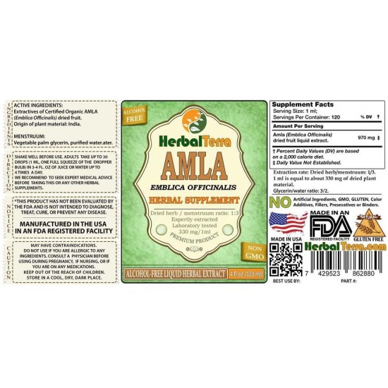 Amla (Phyllanthus Emblica) Glycerite, Organic Alcohol-Free Liquid Extract (Brand Name: HerbalTerra, Proudly Made in USA) 20x4 fl.oz (20x120 ml)