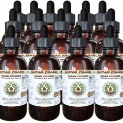 False Unicorn Alcohol-Free Liquid Extract, False Unicorn (Chamaelirium Luteum) Dried Root Glycerite Hawaii Pharm Natural Herbal Supplement 15x4 oz