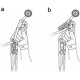 Mr.Safe Climbing Gear Ascender and Rappelling Descender Belay Devices for 9-12mm Rope for Rescue & Arborist