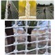 Outdoor Garden Protection Net Children Indoor and Outdoor Climbing Net Adult Sports Training Rope Net High Altitude Anti-Fall Net Truck Trailer Network - Rope Thick 14mm Mesh 12cm