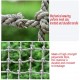 Indoor and Outdoor Children Climbing Net High Altitude Anti-Fall Net Ceiling Decoration Net Garden Protection Net Plant Climbing Net Nylon Protection Net