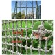 Plant Climbing Net Children Indoor and Outdoor Climbing Net Playground Protection Net High Altitude Anti-Fall Net Fence Decoration Net - Mesh 10cm Rope Thick 12mm