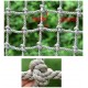 Indoor and Outdoor Children Climbing Net High Altitude Anti-Fall Net Ceiling Decoration Net Garden Protection Net Plant Climbing Net Nylon Protection Net