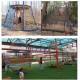 Child Adult Climbing Training Rope Net Garden Protection Net Playground Kindergarten Basketball Court Fence Safety Net High Altitude Anti-Fall Net Trailer Net