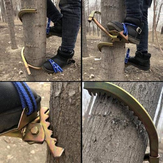 Tree Climbing Tool - 1 Pair of Multifunction Pole Climbing Spikes Hook Non-Slip 304 Stainless Steel Climbing Tree Shoes for Hunting Observation Picking Fruit